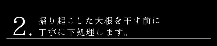 2.掘り起こした大根を干す前に丁寧に下処理します。