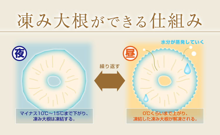 凍み大根ができる仕組み