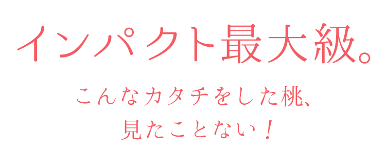 インパクト最大級