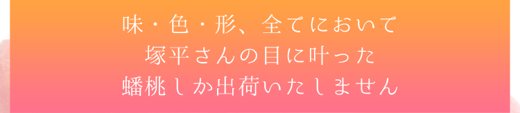 塚平さんの目に叶った蟠桃のみ出荷