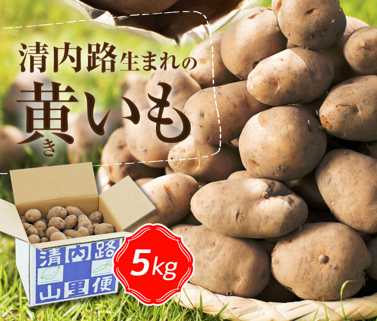 黄いも