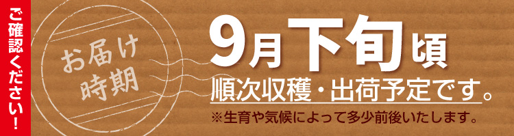 お届け予定日