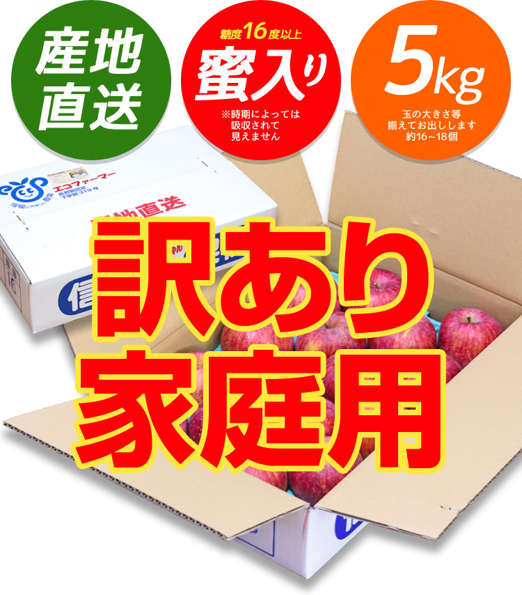 内容