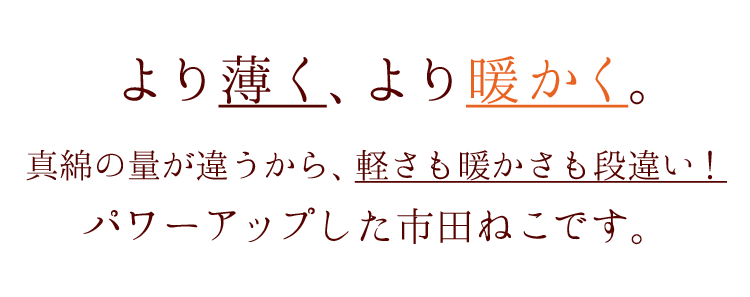 信州市田 真綿ねこ