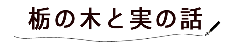 栃の木と実について1