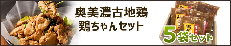 鶏ちゃんセット