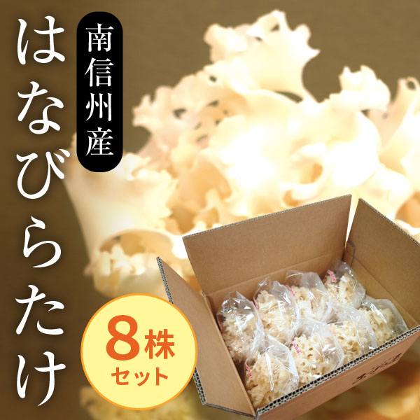 はなびらたけ_01