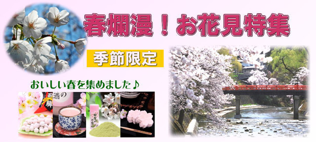 春爛漫！お花見特集