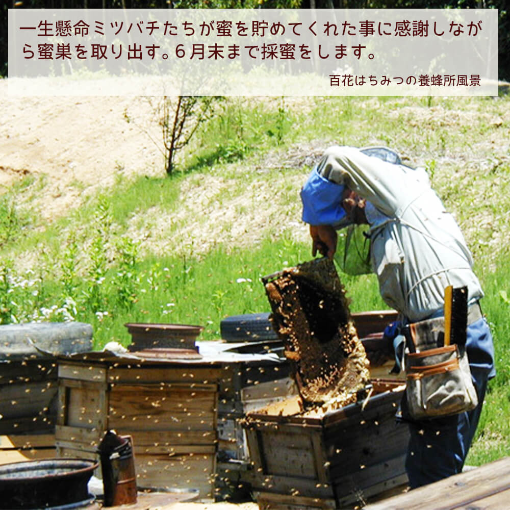 百花はちみつの養蜂所風景